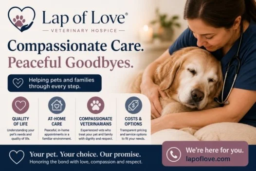 Lap of Love: Veterinary Hospice, Quality of Life, Costs & Care Guide