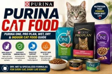 Purina Cat Food: Purina ONE, Pro Plan, Wet, Dry & Indoor Cat Food